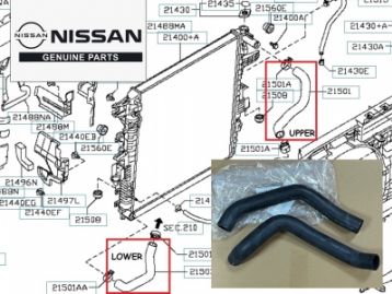 NISSAN PATROL Y62 2010- GENUINE Radiator Coolant Hoses Main Upper & Lower VK56 V8